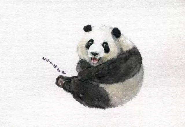 一只黄色的大熊猫梅兰.