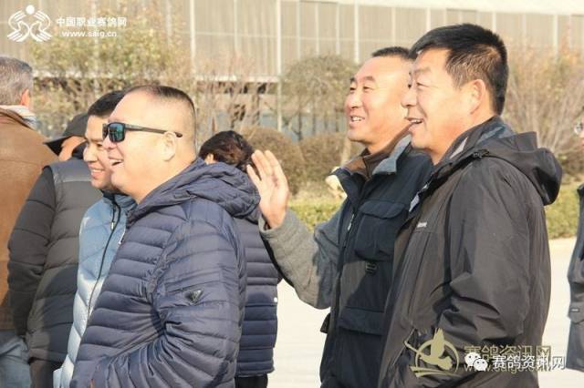 【鸽闻时事】爱亚卡普决赛高分速归巢:北京静心鸽舍创造两大奇迹