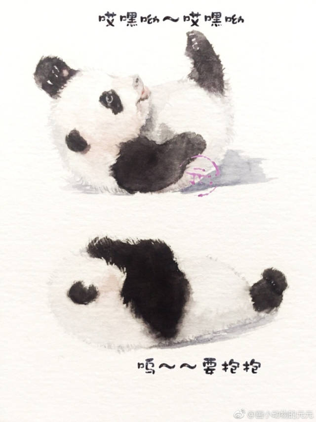 要亲亲要抱抱,这就是网红的日常