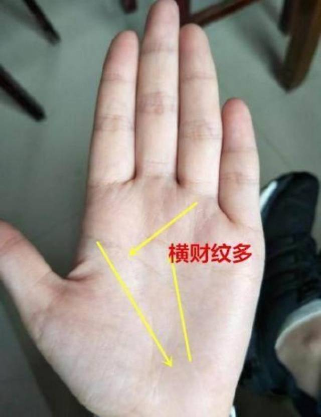 大师看手相,你的手相是什么样的?