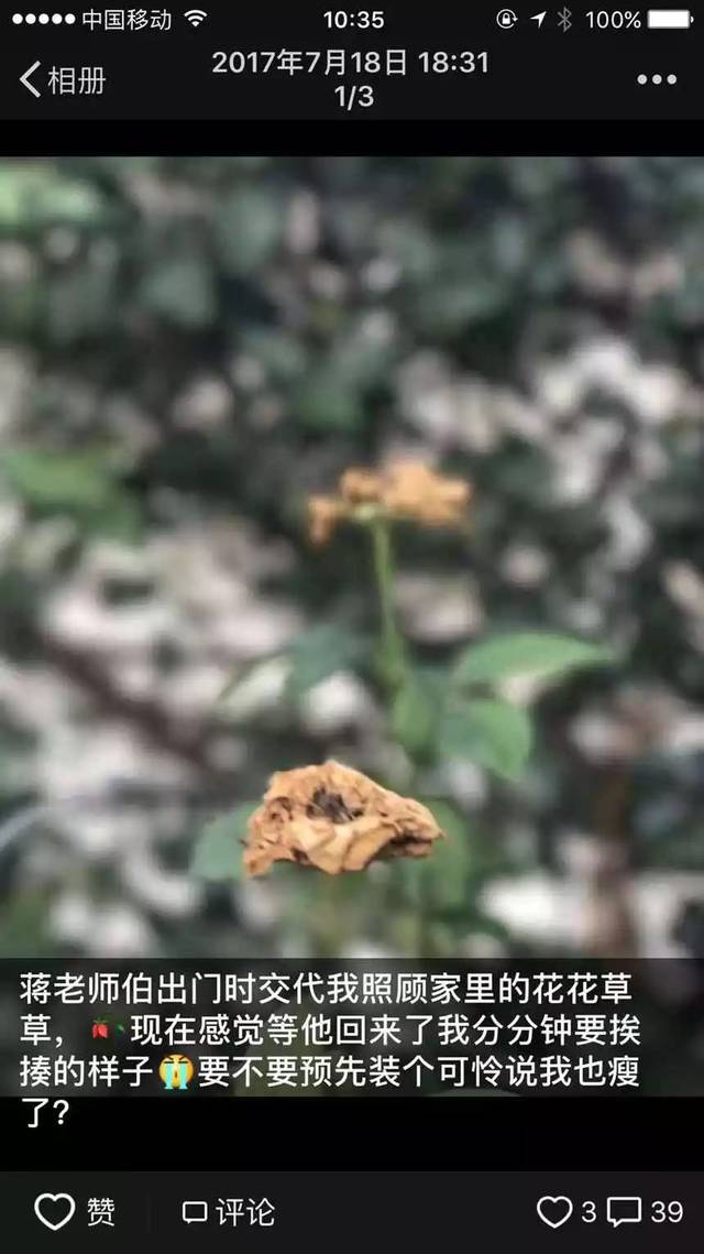 禾佳：主播的“朋友圈”