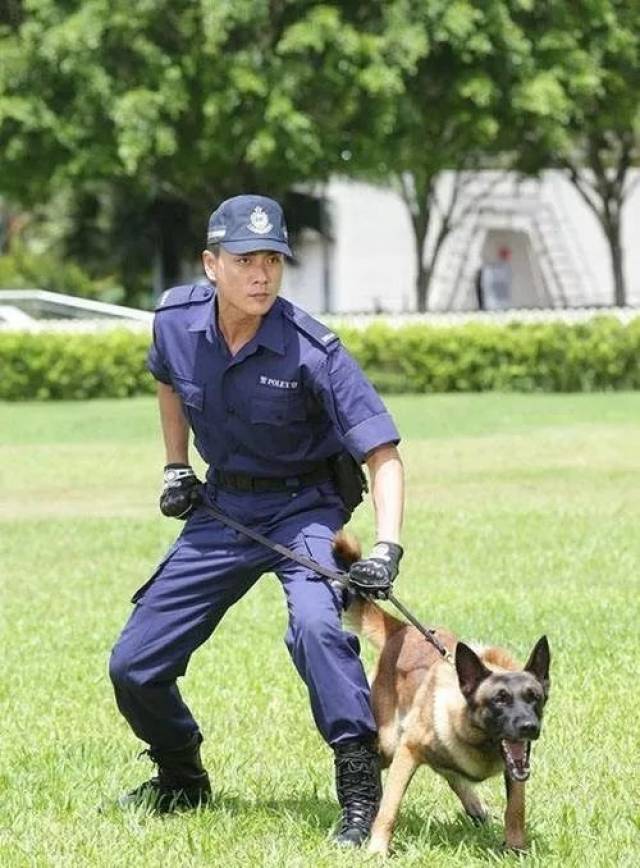 当然也不能少《警犬巴打 两次与钟嘉欣拍档 不过这位黎溢湫却与