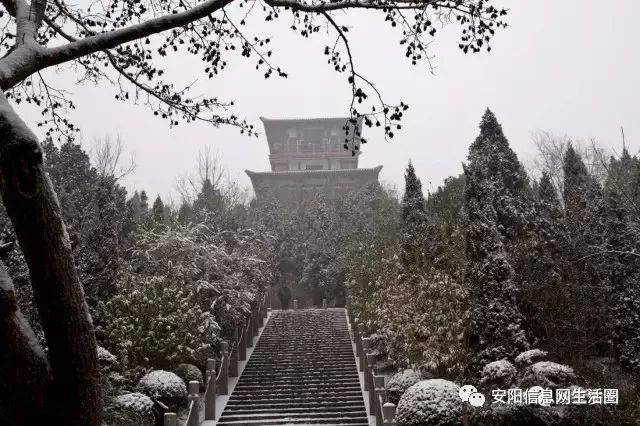 今年冬天安阳的第一场雪,终于要来了.