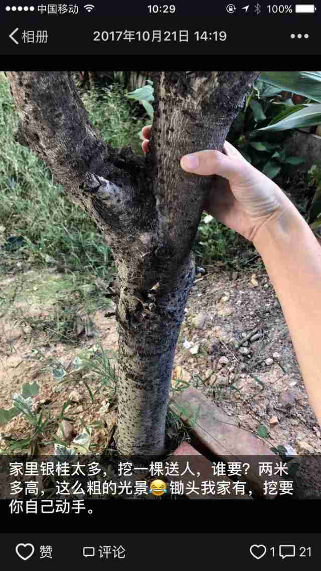 禾佳：主播的“朋友圈”