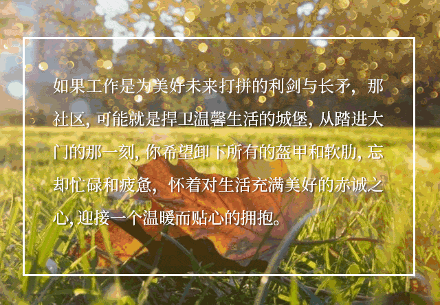 640_444 gif 动态图 动图