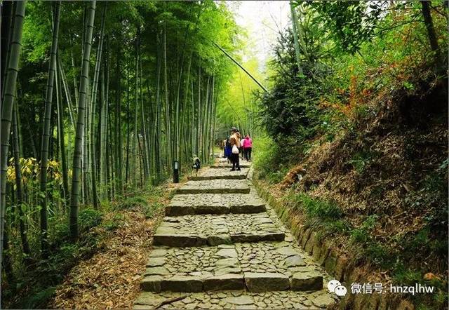 【海宁户外联盟】12月2日,相约径山古道枫叶漫步,古寺吃斋悟禅,仓前掏