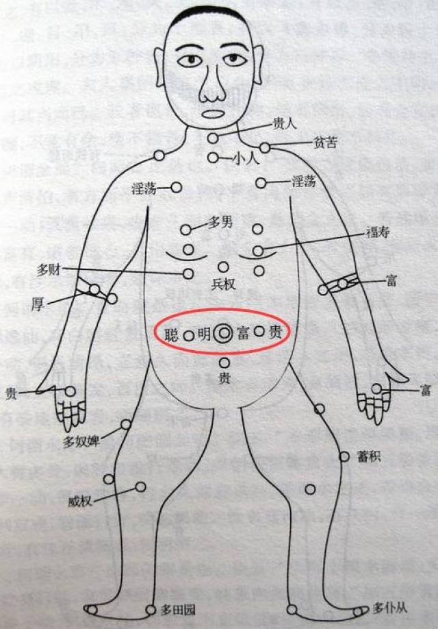 用以养身保健的重要穴位,而在痣相学中,肚脐掌管人的福禄和聪明