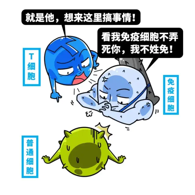 理想 就是混到细胞单位 对付一般的老赖 人体免疫系统还是特别牛逼的