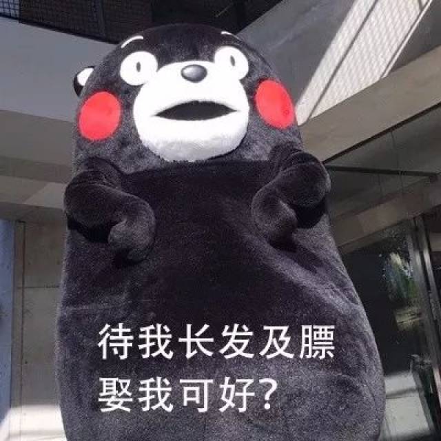 334d1667cfc340948932e58b69108337.jpeg