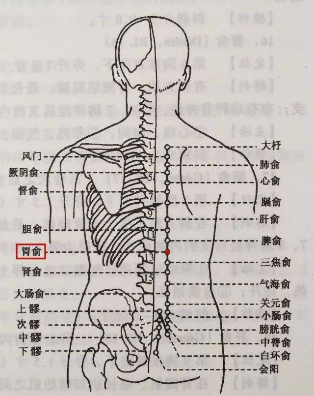 艾灸| 脾阳虚的艾灸方法及操作演示