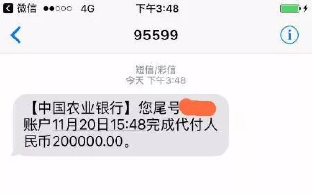 李女士,突然收到短信,提示本人名下的农业银行借记卡入账人民币20万元