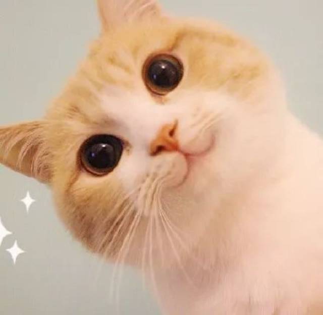 想不到吧|别整天只会发表情，你知道那些表情包来源吗?