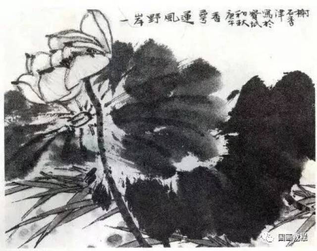 贾宝珉老师教你画荷花(简单易学~)