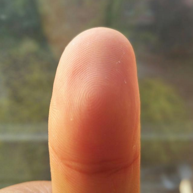 一斗穷、二斗富、三斗四斗开当铺,农村的这个