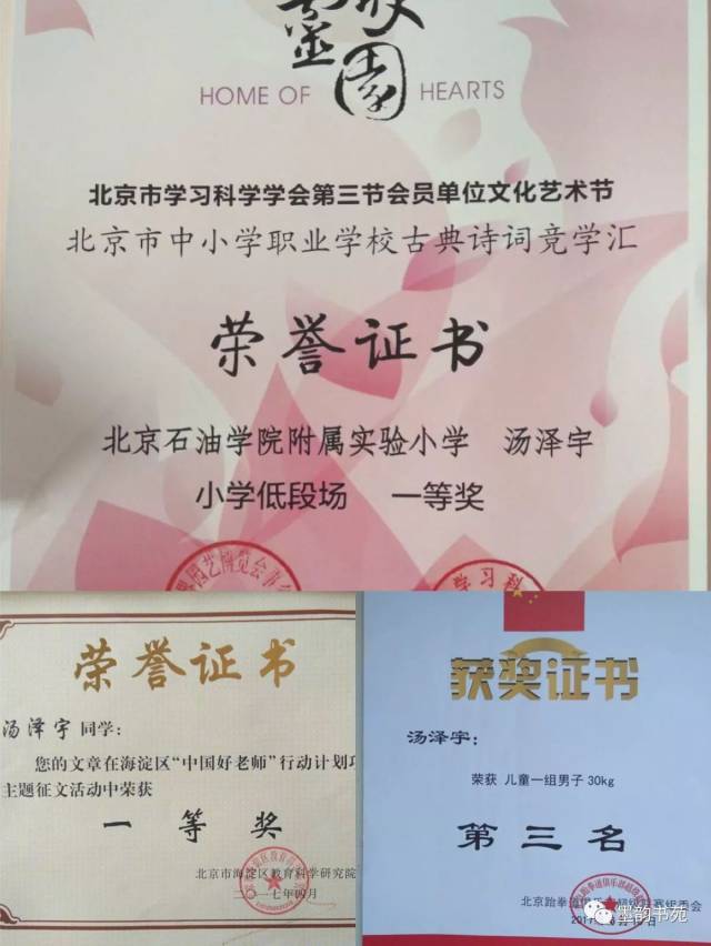 泽宇的软笔已通过中国美院书画考级的三级考评,表现