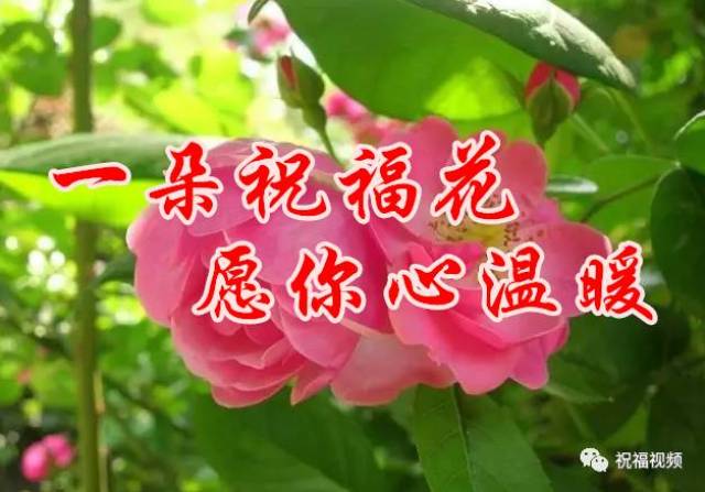 今天是12月1日,12月的天,最美的祝福送给你!快打开看看!