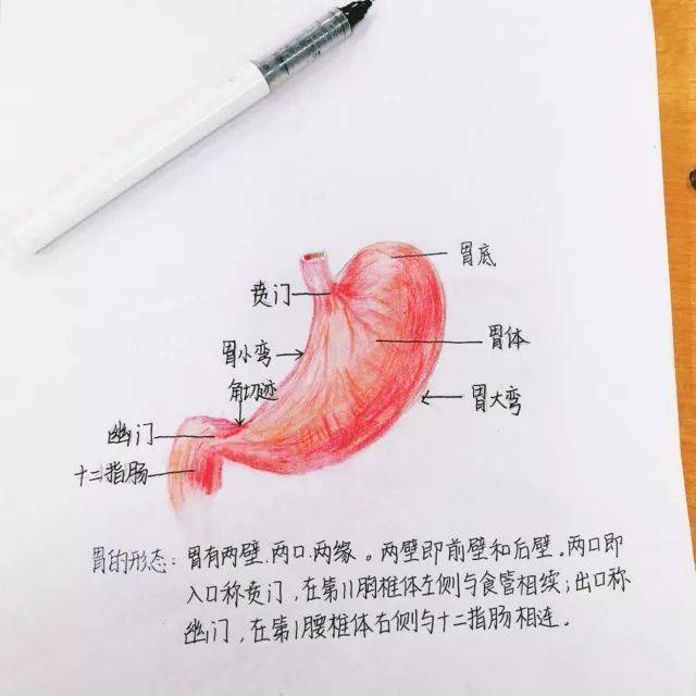 期中考试都到了 还是想想学习吧 w 解剖—edu  信号强度:较强 密码