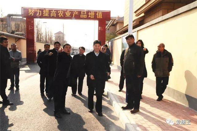 省委农工办来唐王镇调研美丽乡村建设工作