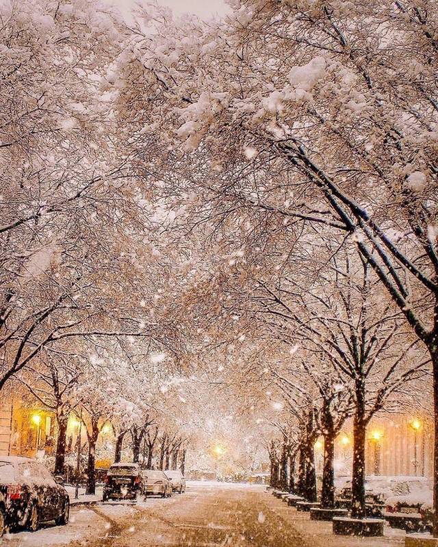 瑞士夜晚的雪景,是童话世界没错了!