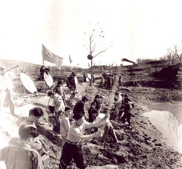 1971年,南沙公社社员集体劳动场景