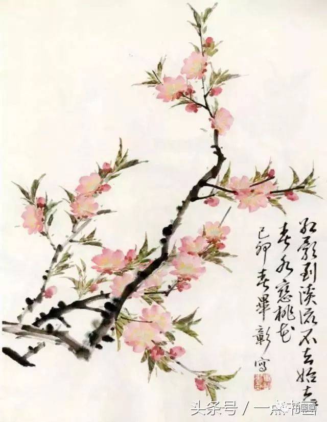 国画技法 丨 桃花写意画法