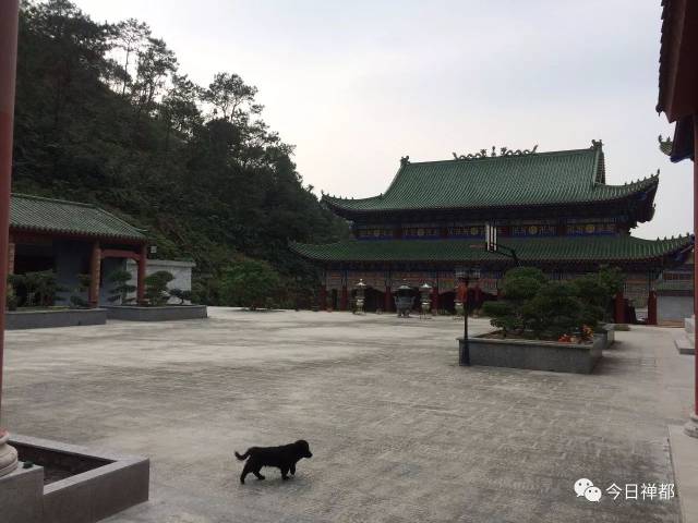 你知不知道【洞口大稳】有个护龙寺?都建了4年了!