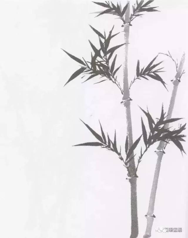 国画教学:竹子水墨写意画,写意竹子画法画法步骤图