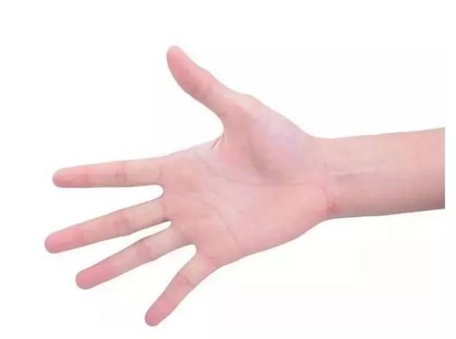 摊开手,看看你有没有?