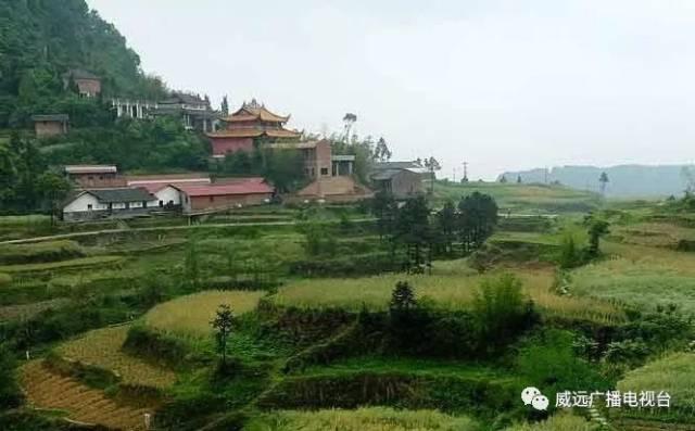 威远县山王镇风桠村