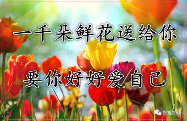 今天是12月1日,最美的祝福送给你!愿你在2017一个