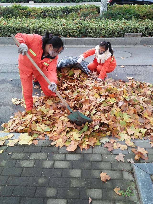 致敬!寒风扫落叶 辛苦了环卫工