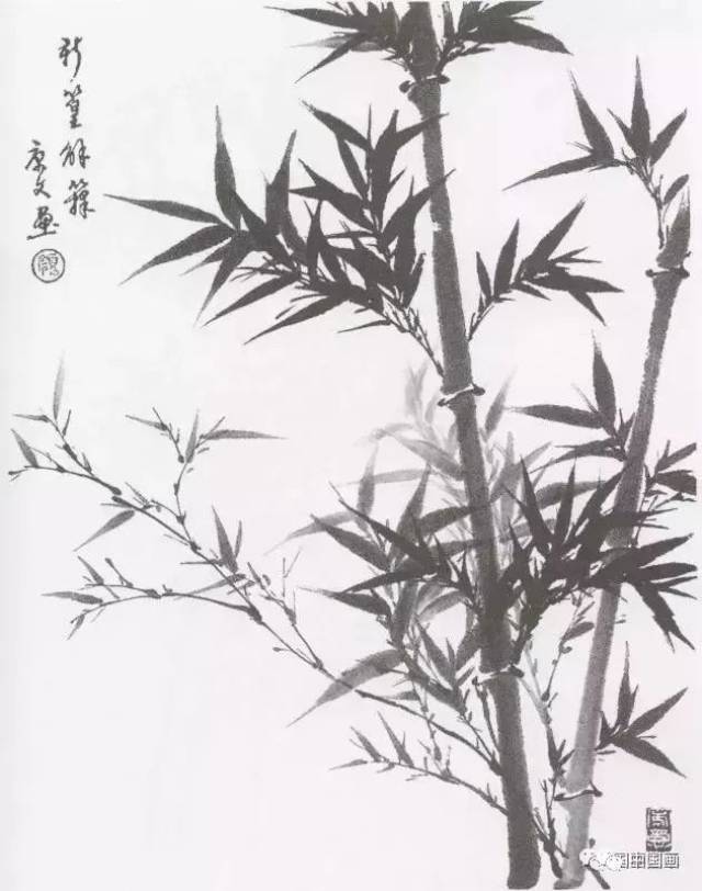 国画教学:竹子水墨写意画,写意竹子画法画法步骤图图片