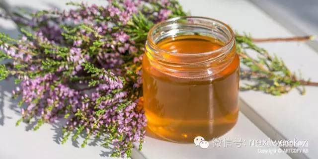 枇杷蜜,承包了这个季节最甜蜜的期待!现在进入了采集高峰