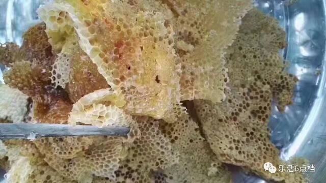 枇杷蜜,承包了这个季节最甜蜜的期待!现在进入了采集高峰