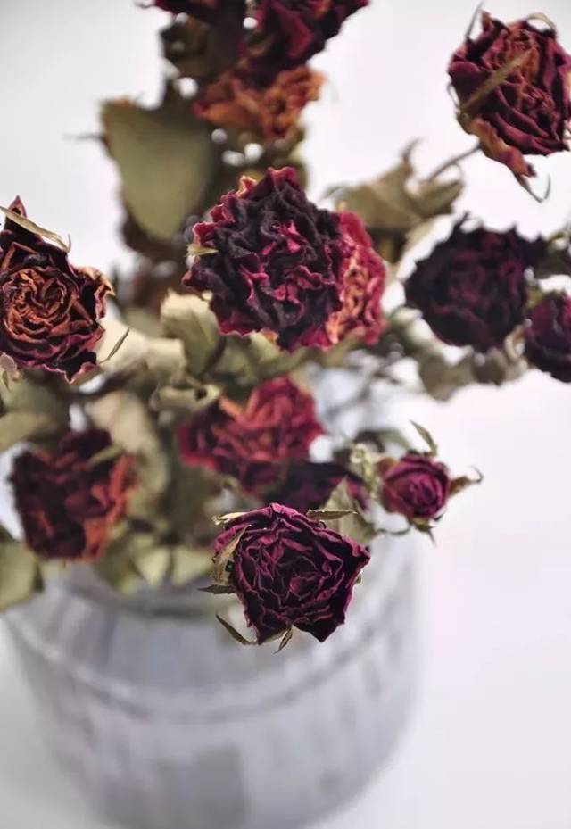 54a7513098cf4183b08c3d75ad6ddfaa.jpeg