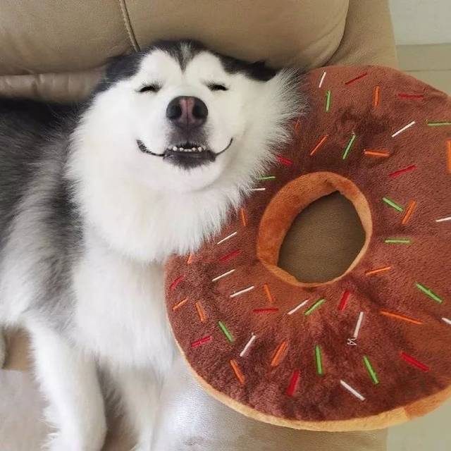 未经允许,擅自特别喜欢你,不好意思了