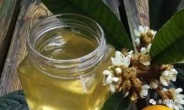 枇杷蜜,承包了这个季节最甜蜜的期待!现在进入了采集高峰