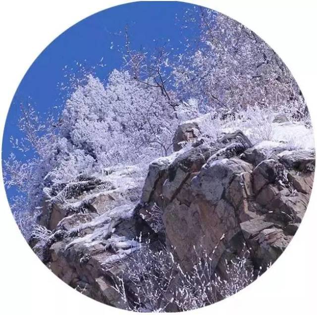 【微旅游】雾凇、冰挂、冰花!济源小沟背的冬