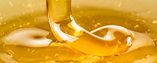 枇杷蜜,承包了这个季节最甜蜜的期待!现在进入了采集高峰