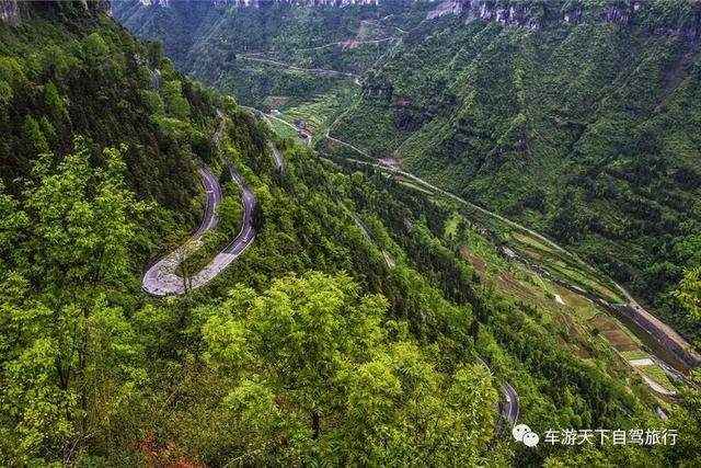 自驾湘川公路,盘旋于矮寨奇观之上,握紧方向盘开始 形转弯!