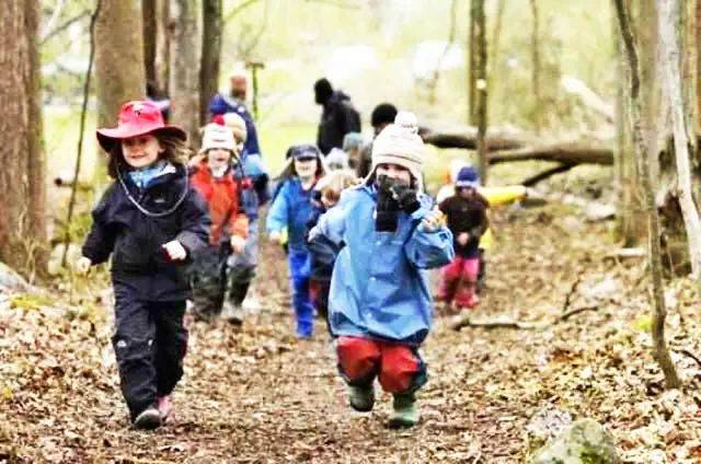 【行业观察】森林幼儿园在中国教育市场应该拥有一席之地!