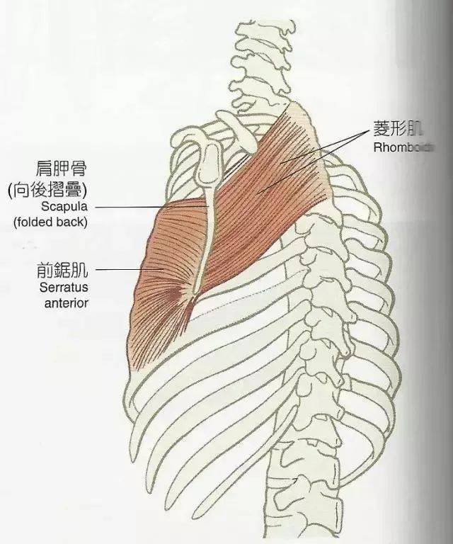 解剖列车精要分享