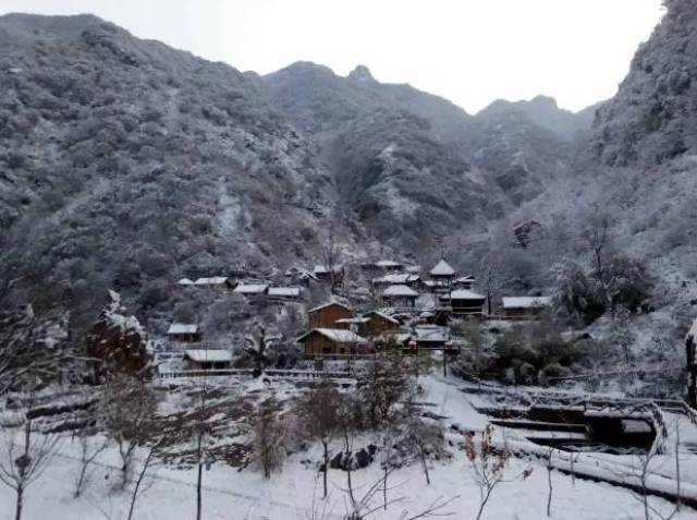 【微旅游】雾凇、冰挂、冰花!济源小沟背的冬