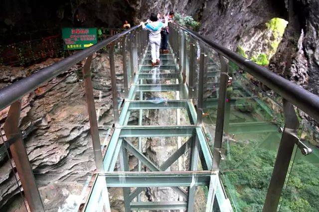 ￥399起 | 银杏染深秋,还有溶洞悬空玻璃栈道,住阳山碧桂园酒店,带上