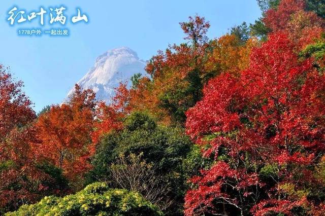 【登山节·云髻山】12月9日/10日 周六周日各一期 满山秋色似彩霞