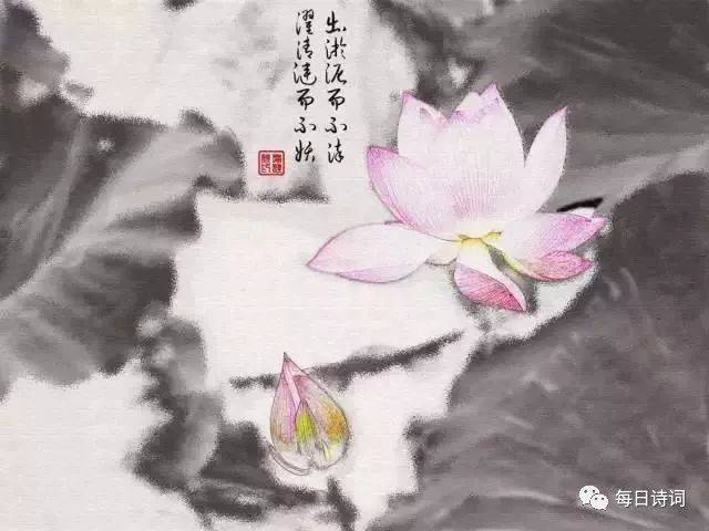 来生愿做一朵莲花简谱_笛子 来生愿做一朵莲 ,美美美,太美了(2)