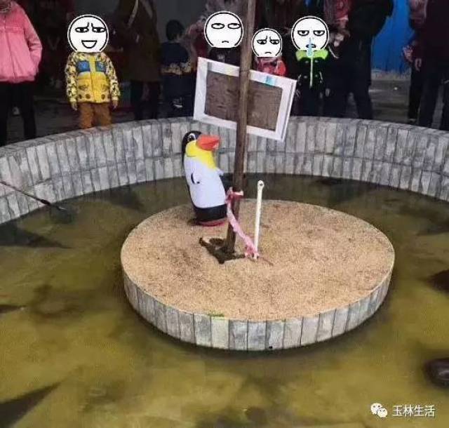 你们遇到过这种动物园吗?真是奇葩得令人无力吐槽