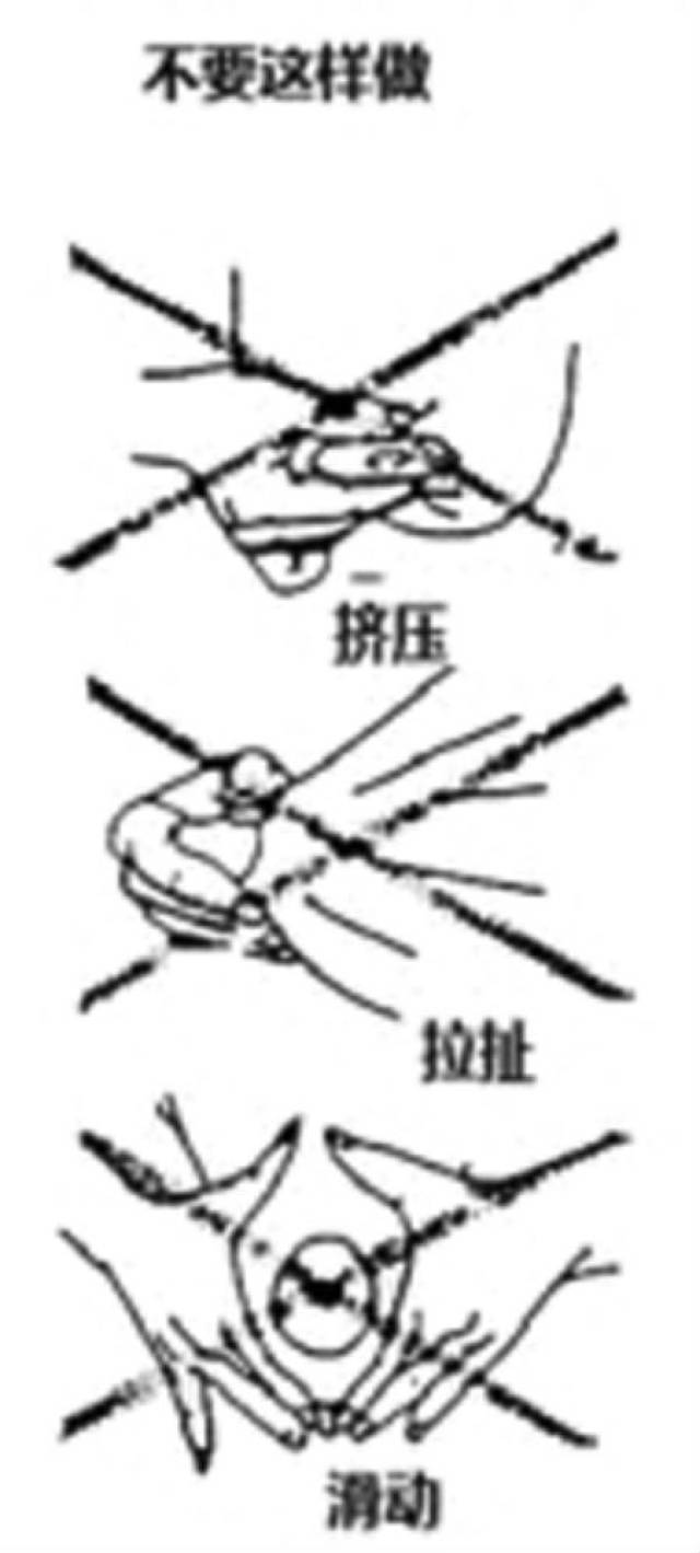 正确的挤奶方法