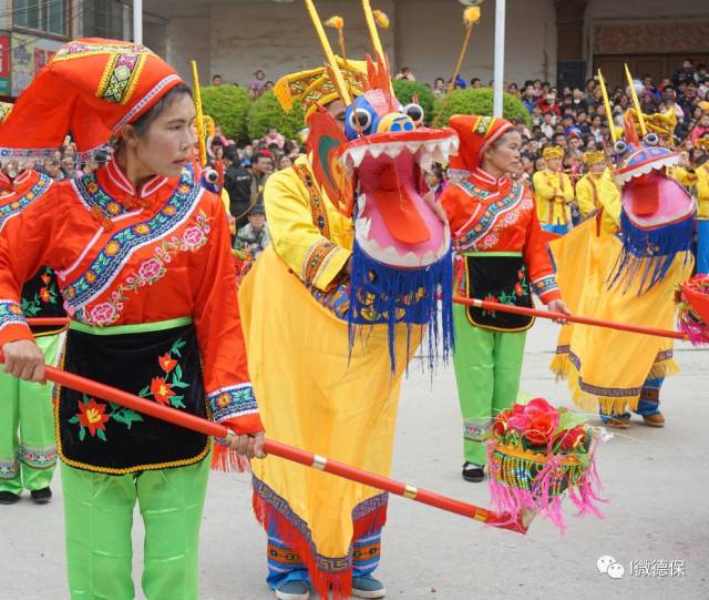 红枫旅游节开幕.今天的德保精彩纷呈!