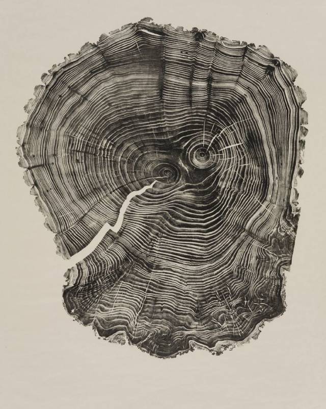令人叹为观止的木质纹理,附木材硬度表